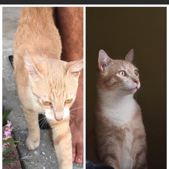 MEET YOUR POSHER - Picture 4 of 7